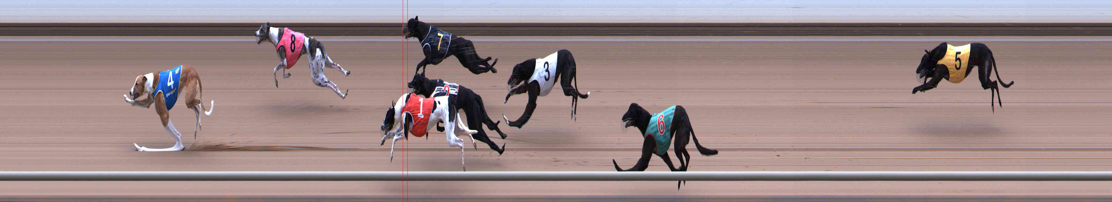 Photo finish for Healesville Race 3