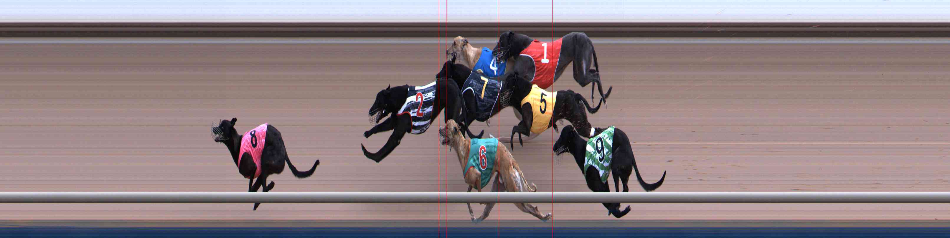 Photo finish for Healesville Race 4