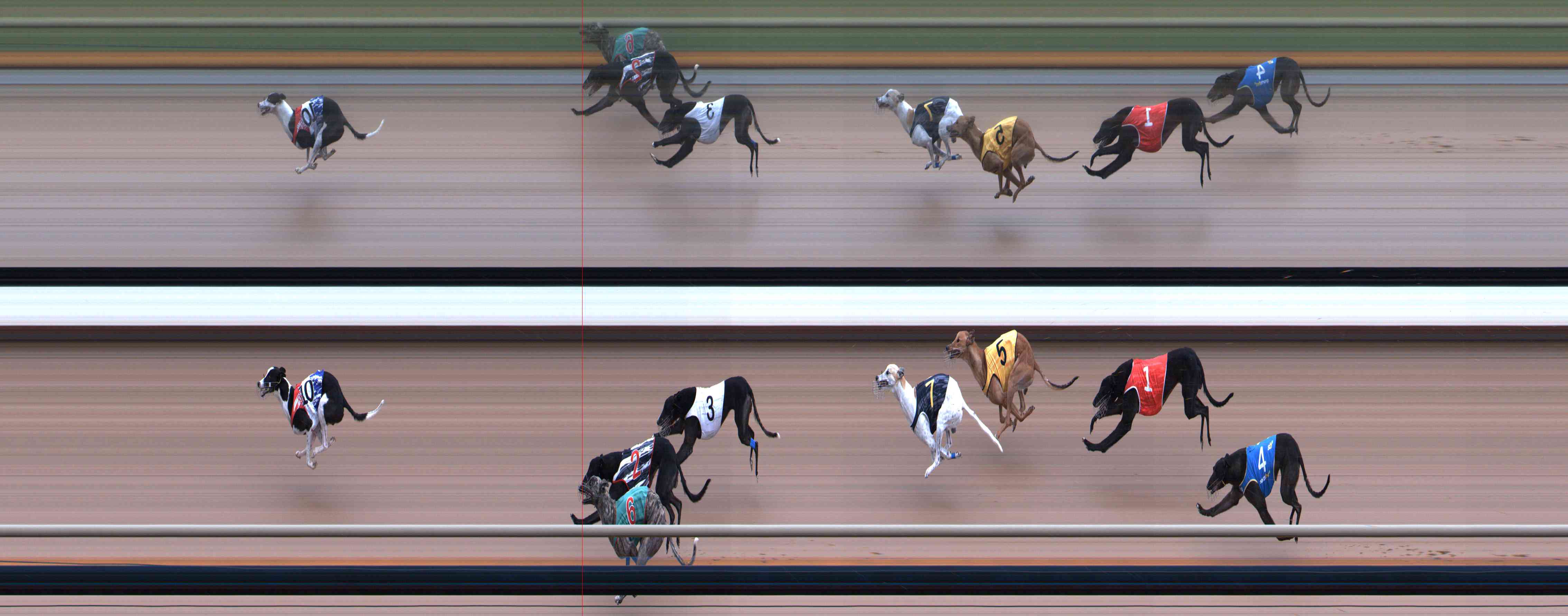 Photo finish for Healesville Race 11