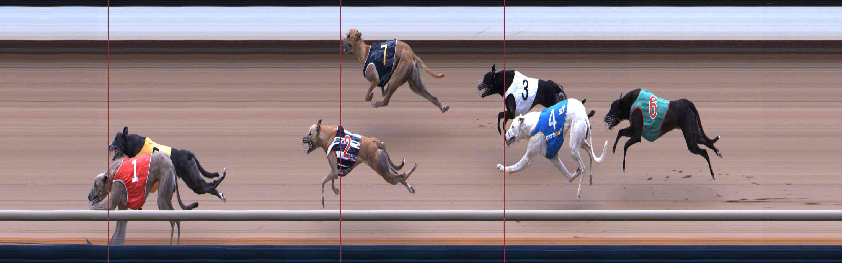 Photo finish for Healesville Race 12