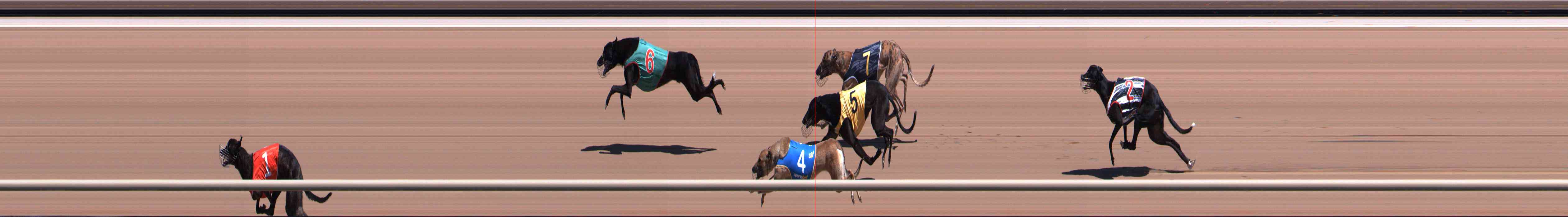 Photo finish for Healesville Race 2