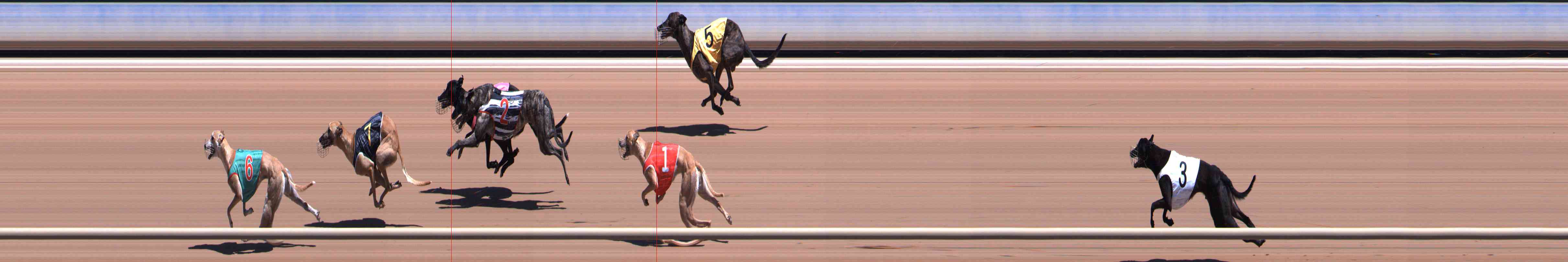 Photo finish for Healesville Race 3