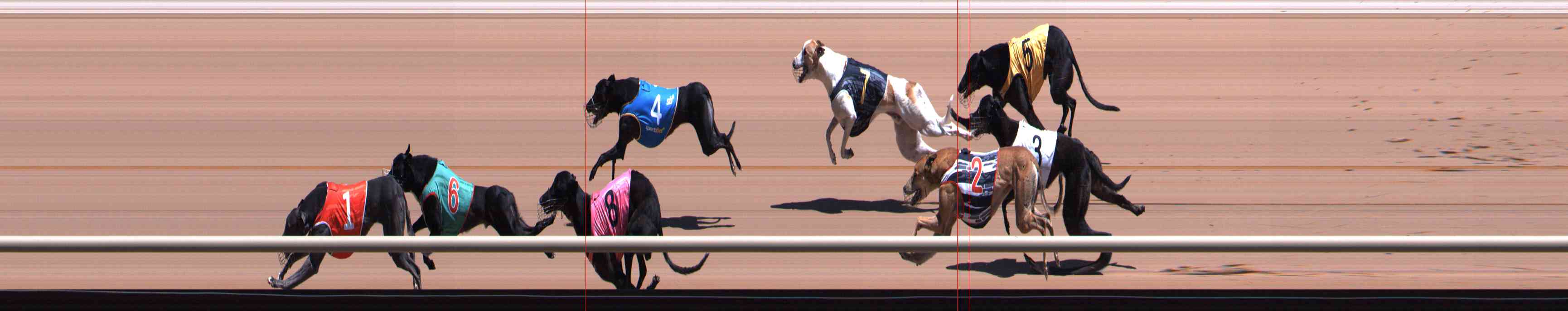 Photo finish for Healesville Race 4