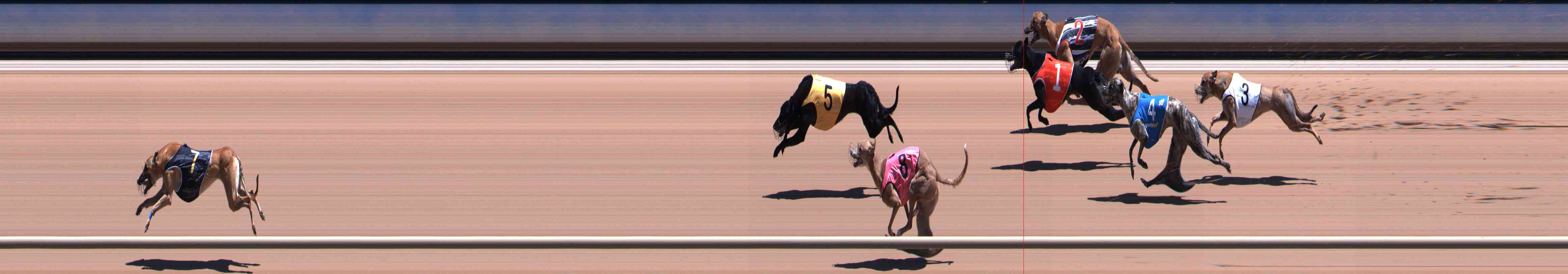 Photo finish for Healesville Race 6