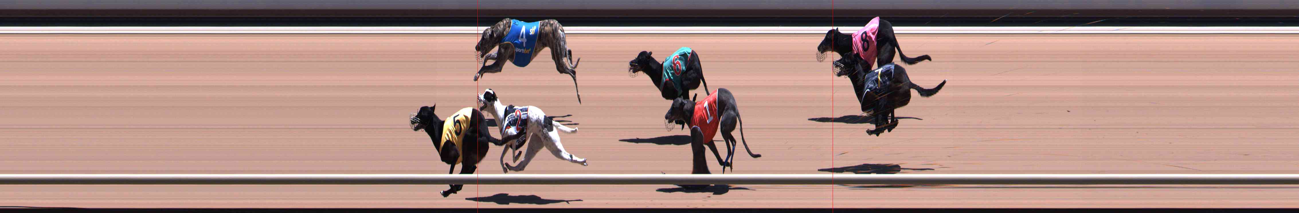 Photo finish for Healesville Race 7