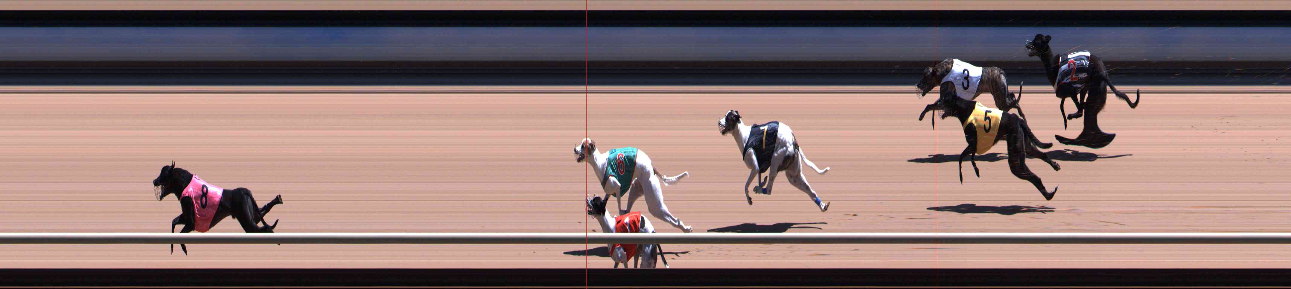 Photo finish for Healesville Race 8