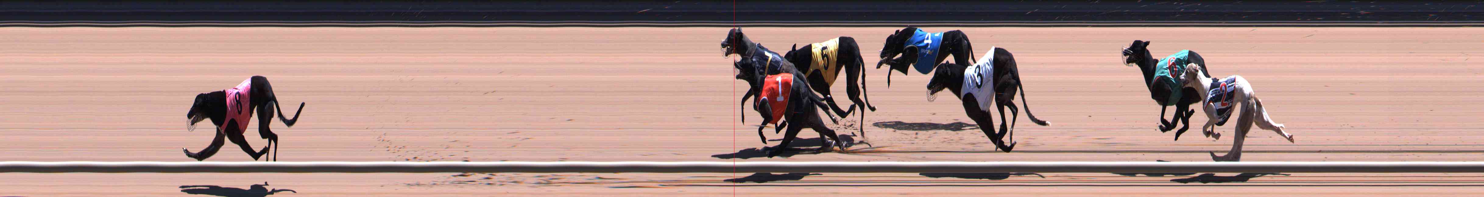 Photo finish for Healesville Race 9