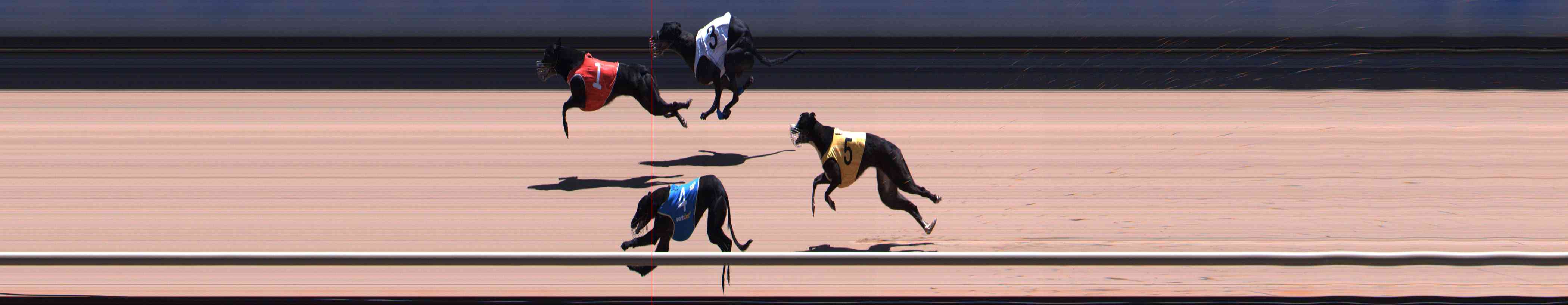 Photo finish for Healesville Race 10