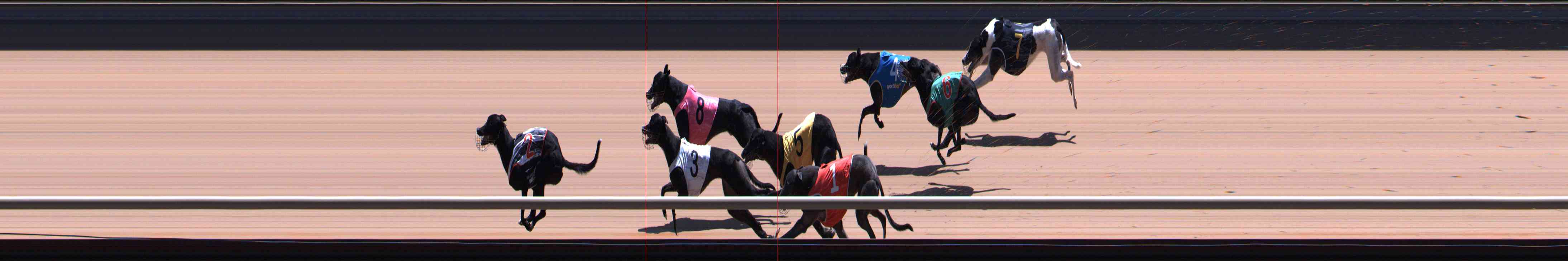 Photo finish for Healesville Race 11