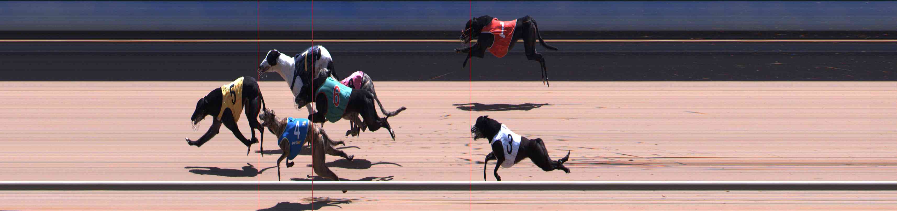 Photo finish for Healesville Race 12