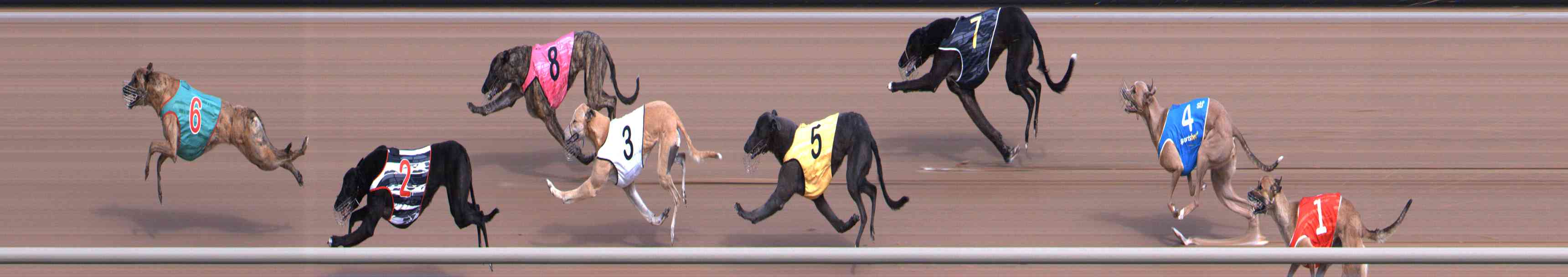 Photo finish for Healesville Race 1