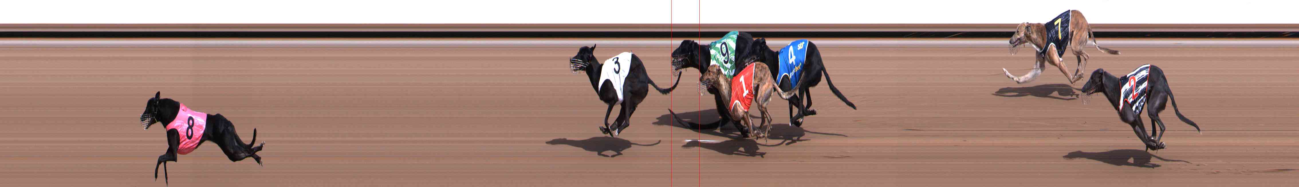 Photo finish for Healesville Race 2