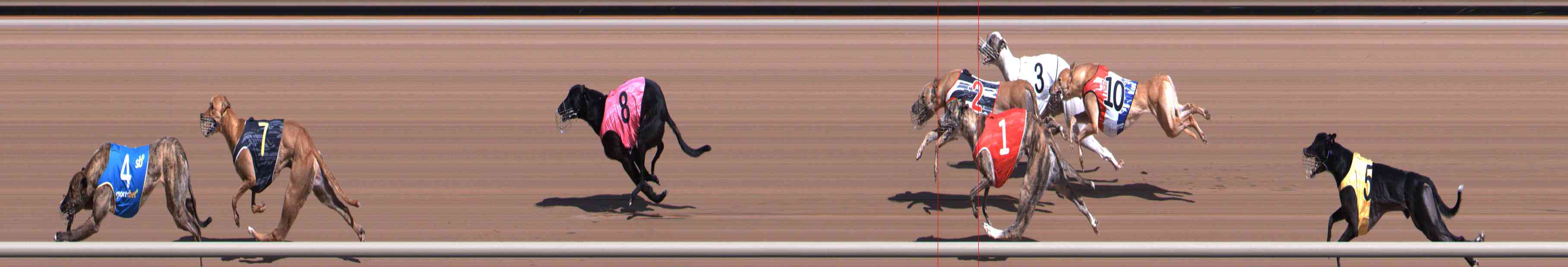 Photo finish for Healesville Race 3