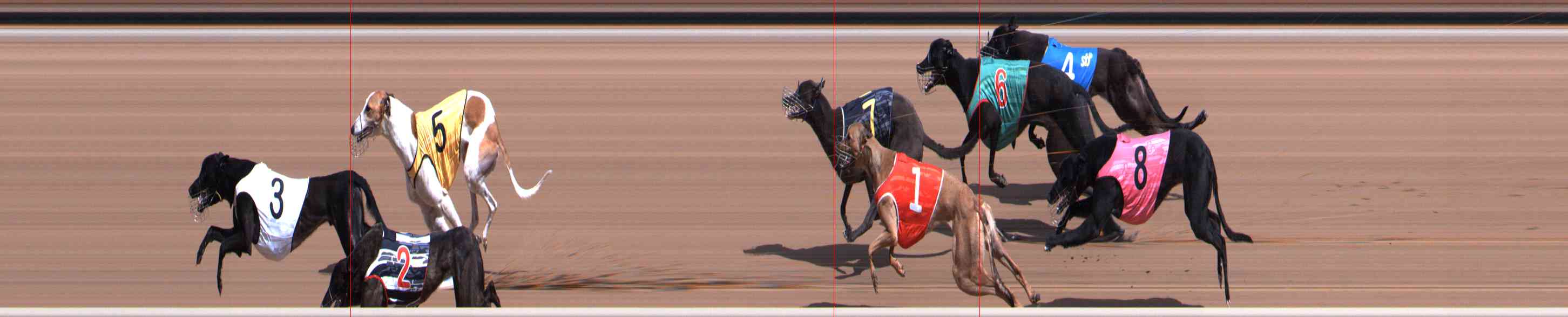 Photo finish for Healesville Race 4