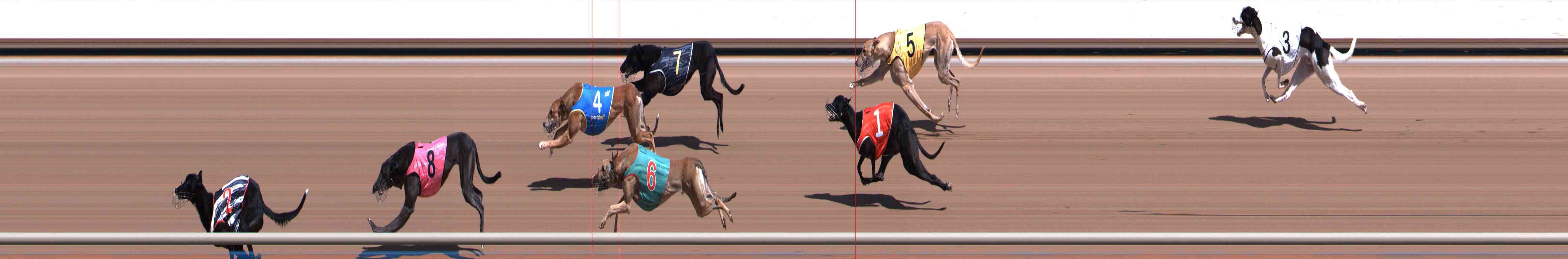 Photo finish for Healesville Race 5