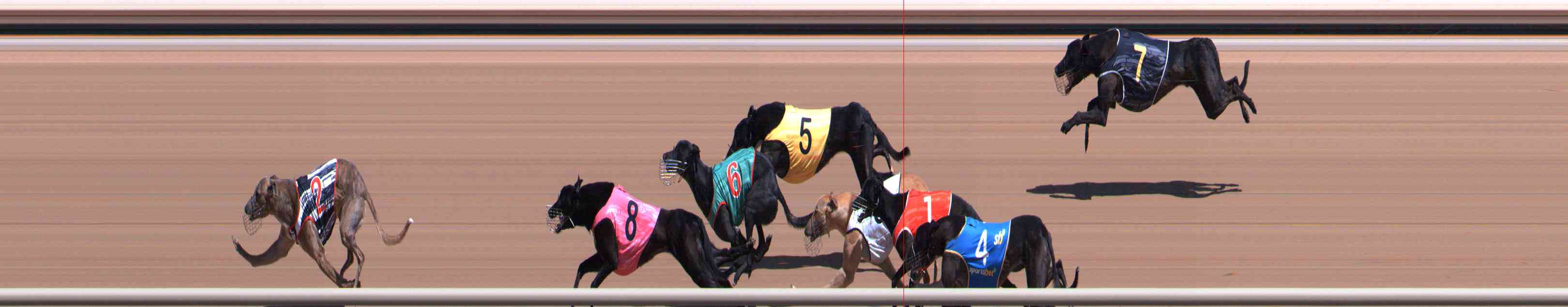 Photo finish for Healesville Race 6