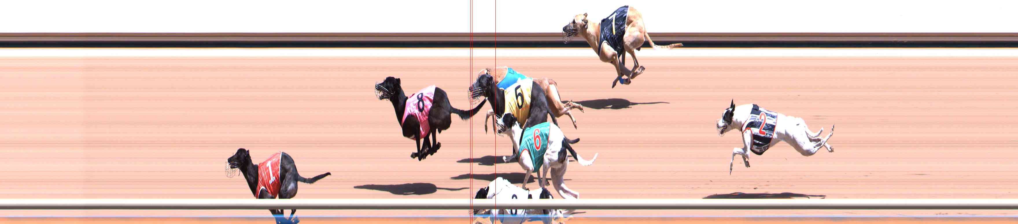 Photo finish for Healesville Race 7