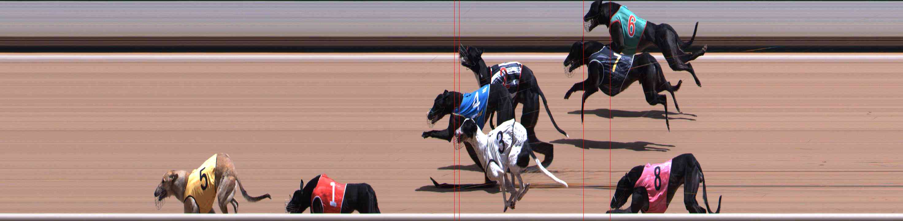 Photo finish for Healesville Race 9