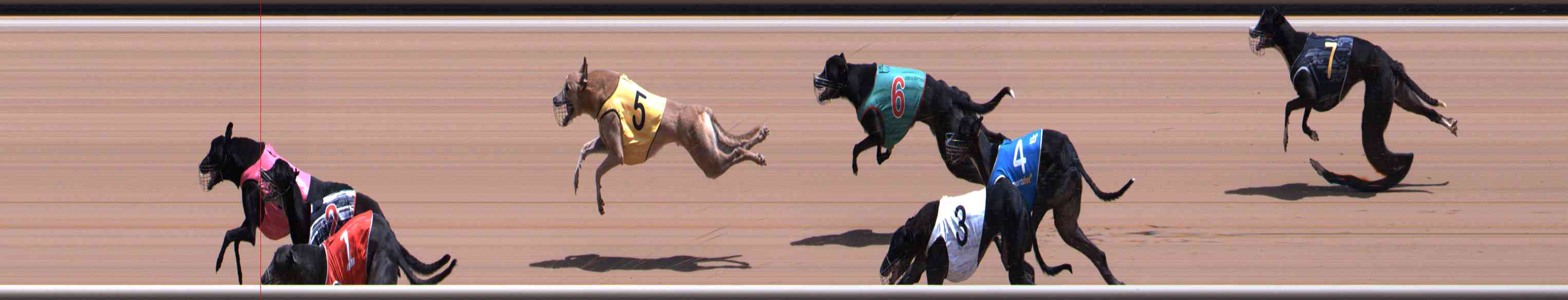 Photo finish for Healesville Race 10
