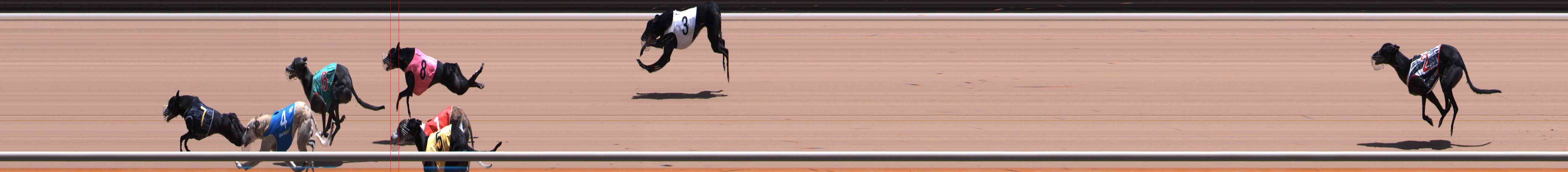 Photo finish for Healesville Race 11