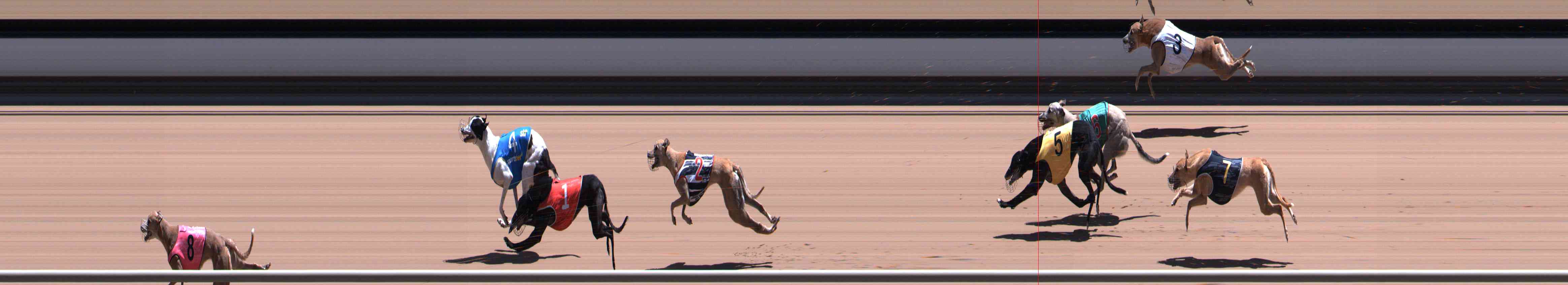 Photo finish for Healesville Race 12