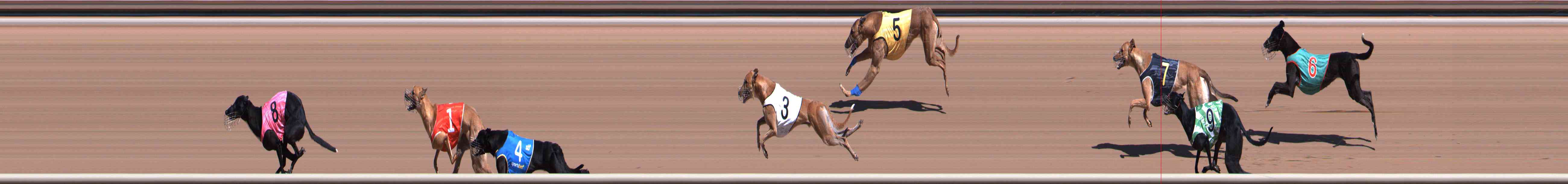 Photo finish for Healesville Race 2
