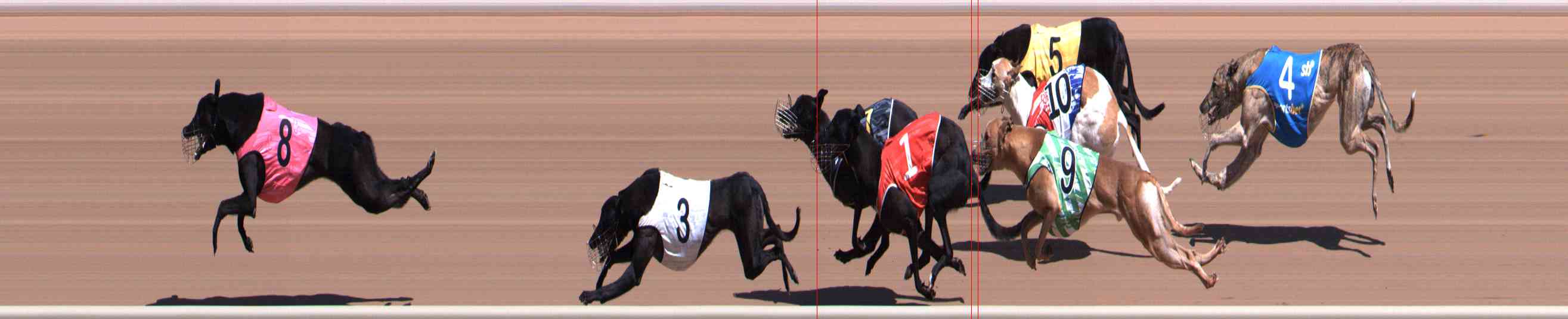 Photo finish for Healesville Race 3