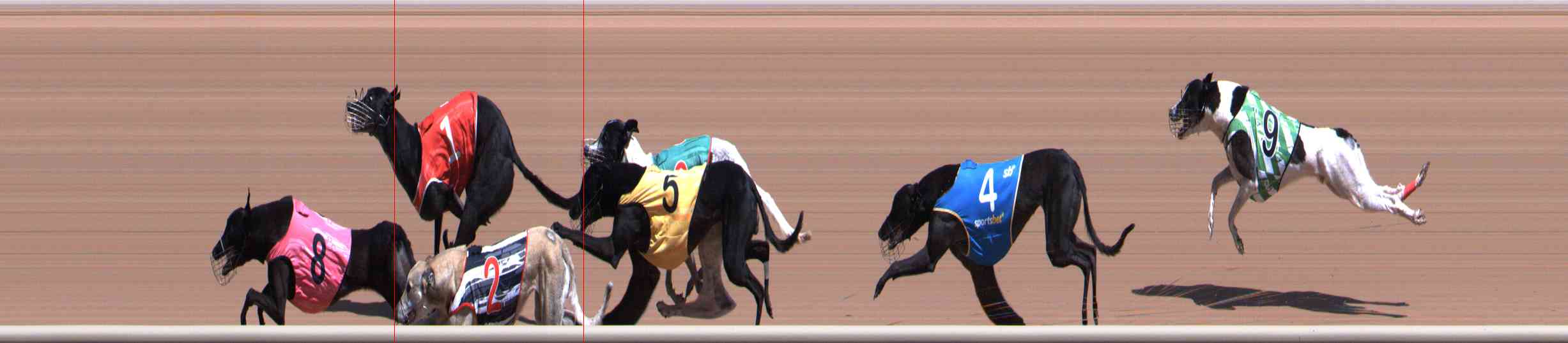 Photo finish for Healesville Race 4