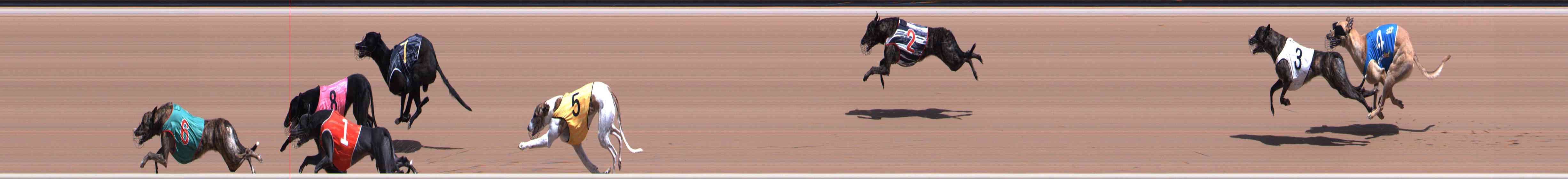 Photo finish for Healesville Race 5