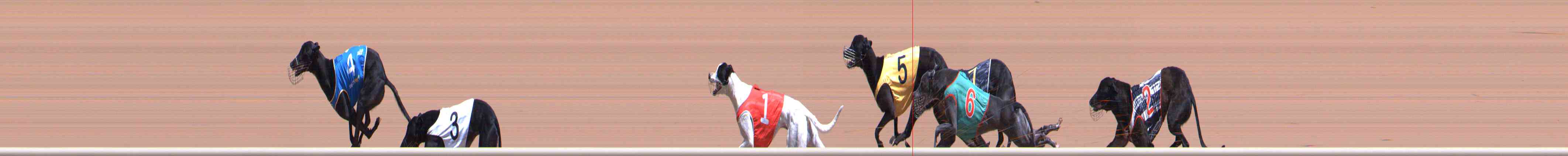 Photo finish for Healesville Race 6