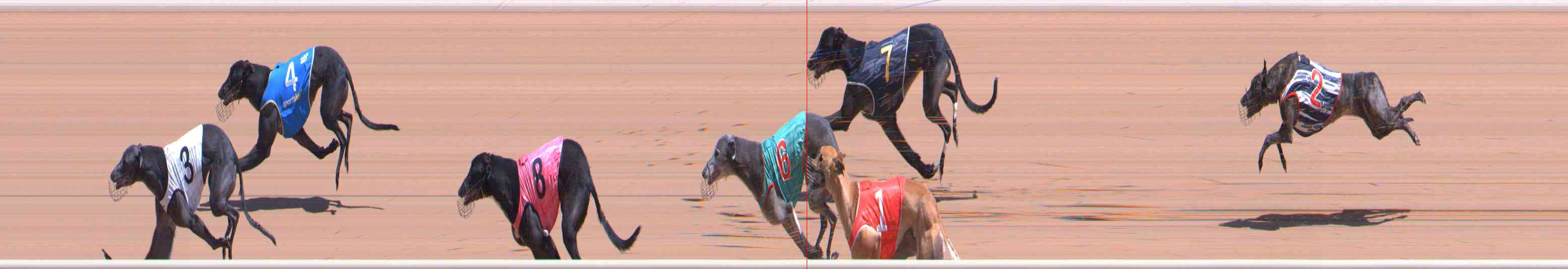 Photo finish for Healesville Race 7
