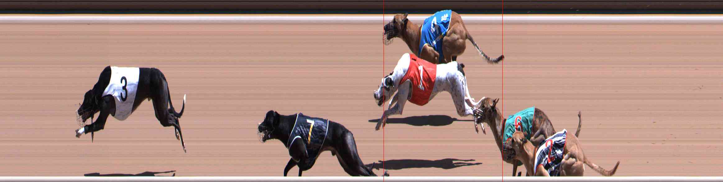 Photo finish for Healesville Race 8