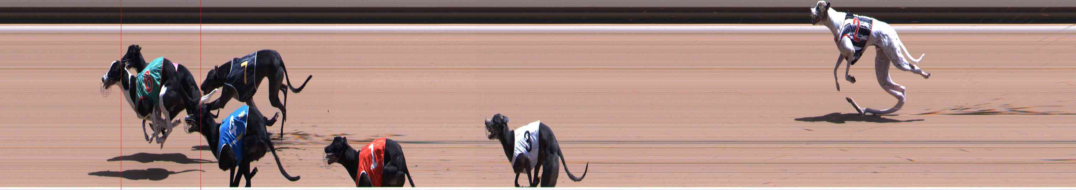 Photo finish for Healesville Race 9