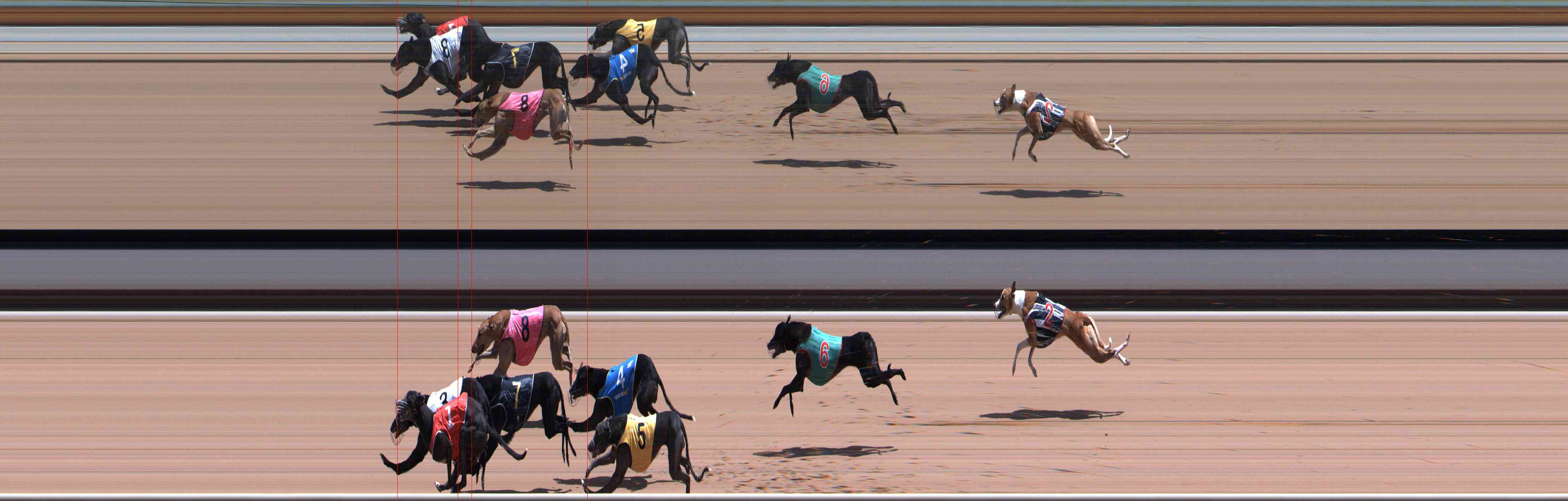 Photo finish for Healesville Race 10