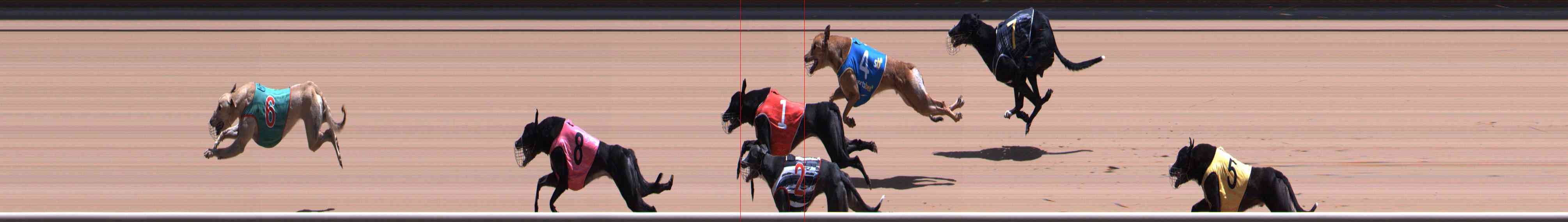 Photo finish for Healesville Race 11