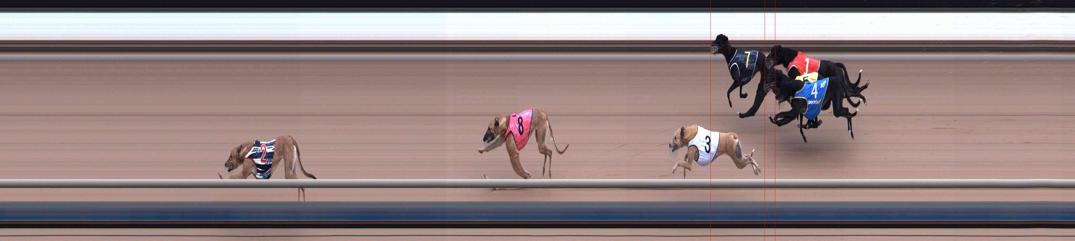 Photo finish for Healesville Race 1