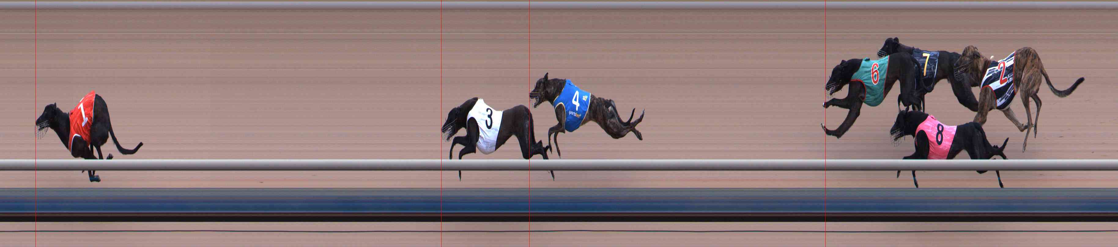 Photo finish for Healesville Race 2