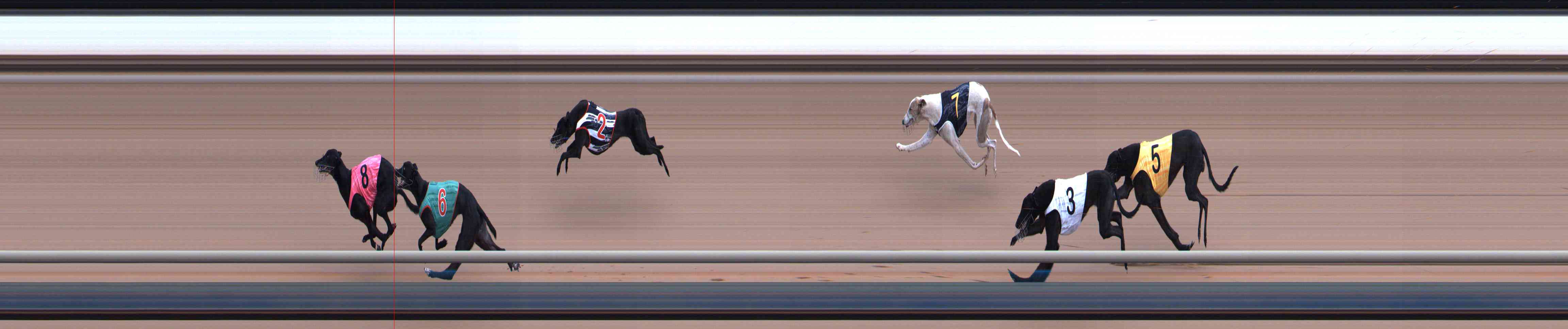 Photo finish for Healesville Race 3