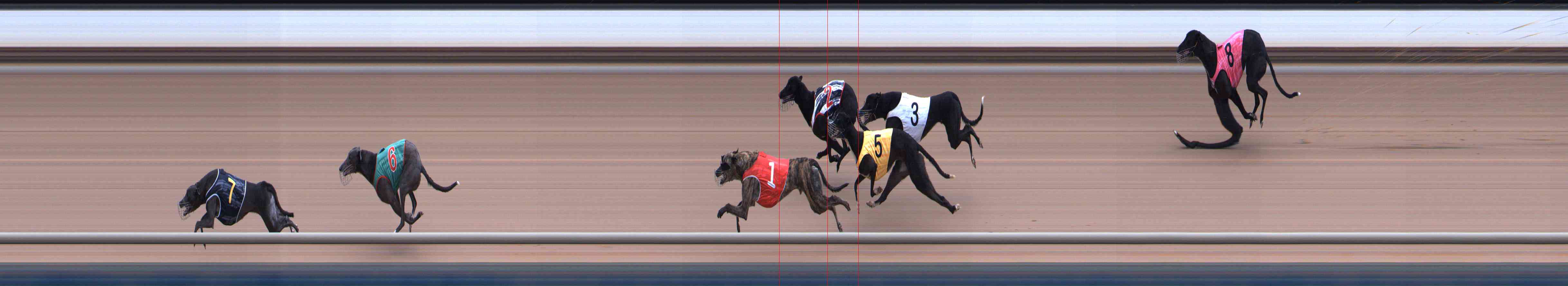 Photo finish for Healesville Race 4
