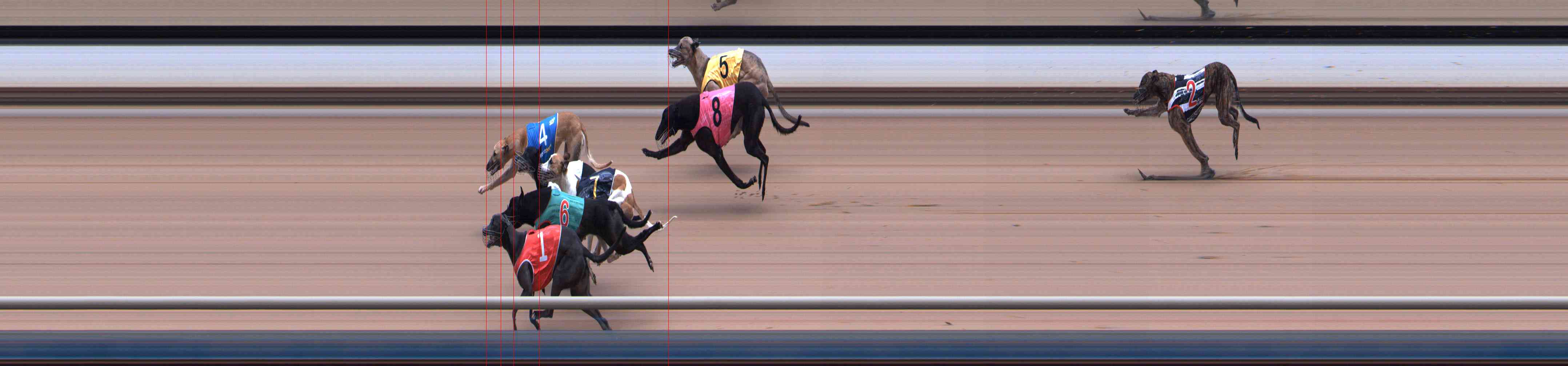 Photo finish for Healesville Race 5