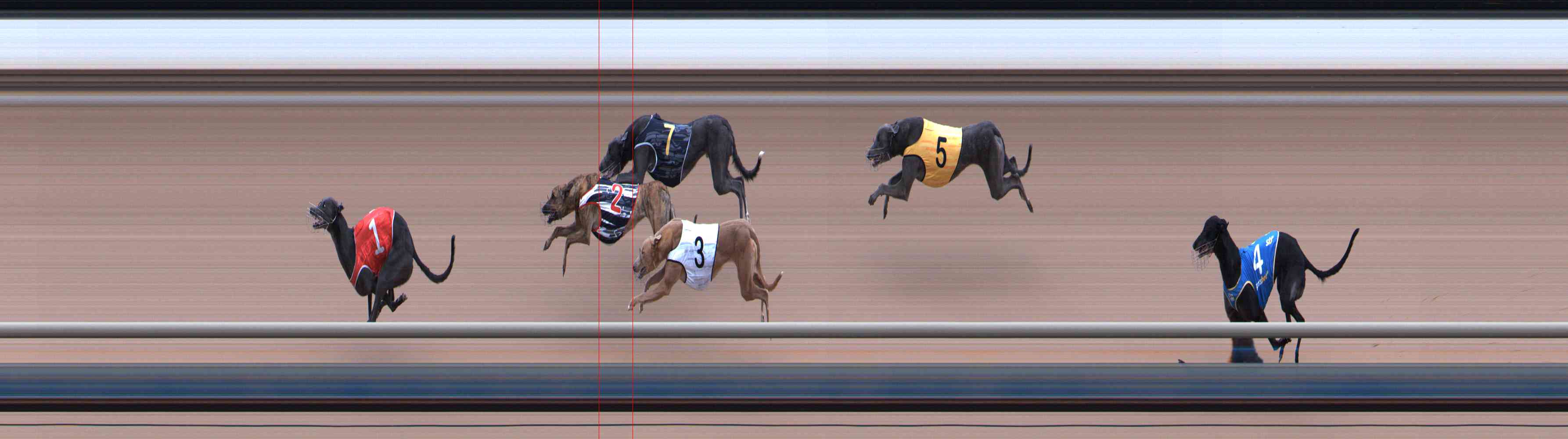 Photo finish for Healesville Race 6