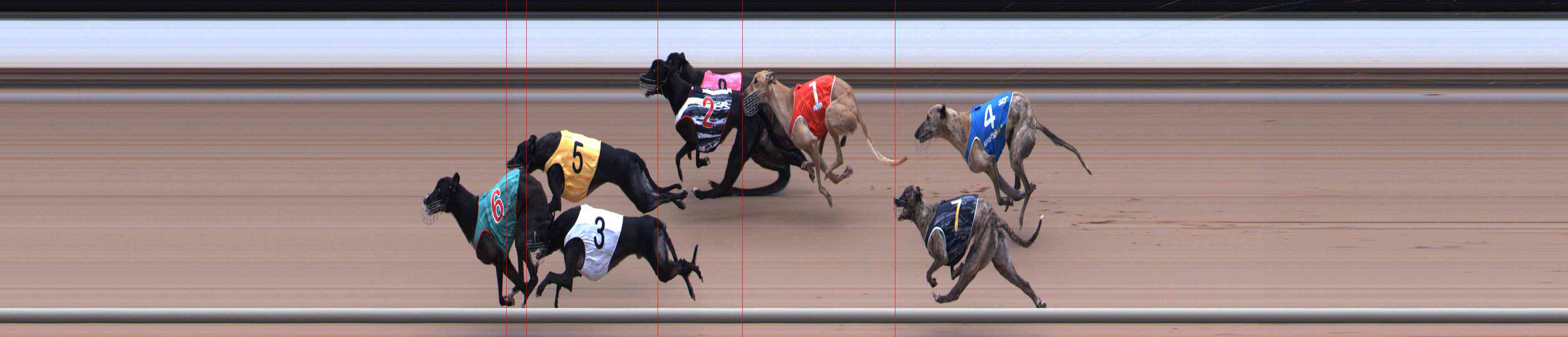 Photo finish for Healesville Race 7