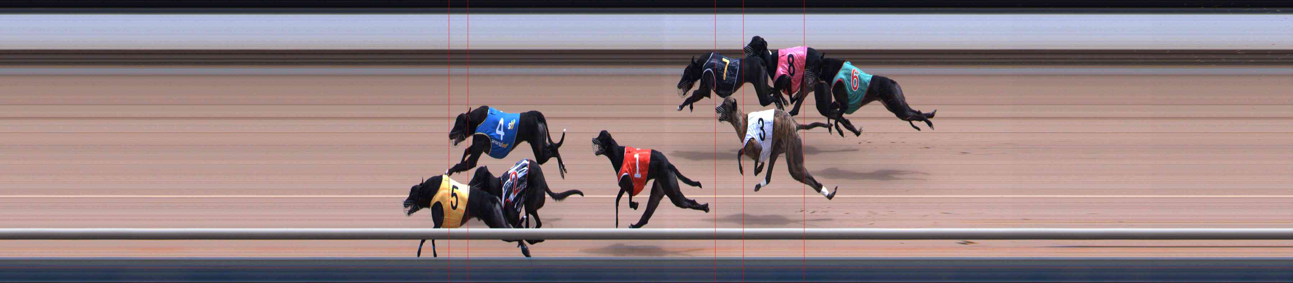 Photo finish for Healesville Race 8