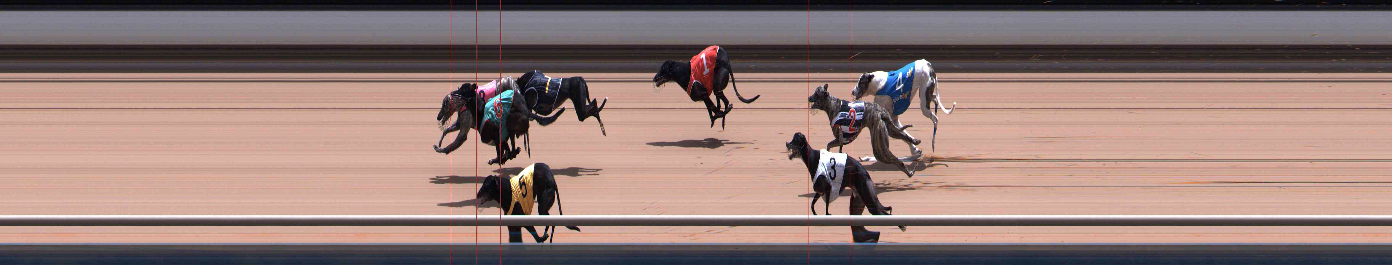 Photo finish for Healesville Race 9