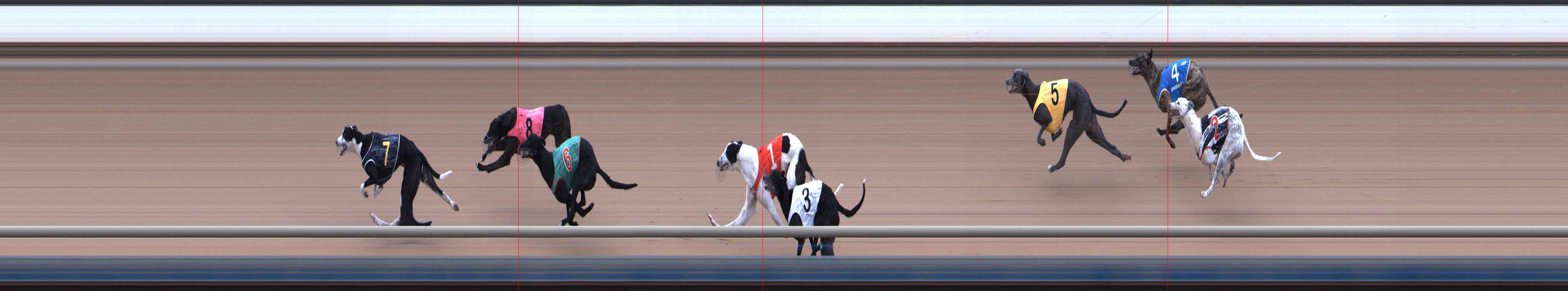 Photo finish for Healesville Race 10