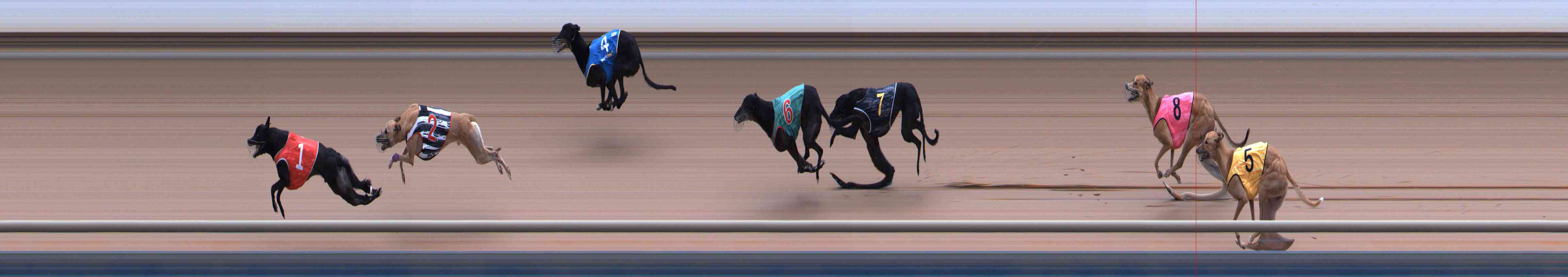 Photo finish for Healesville Race 11