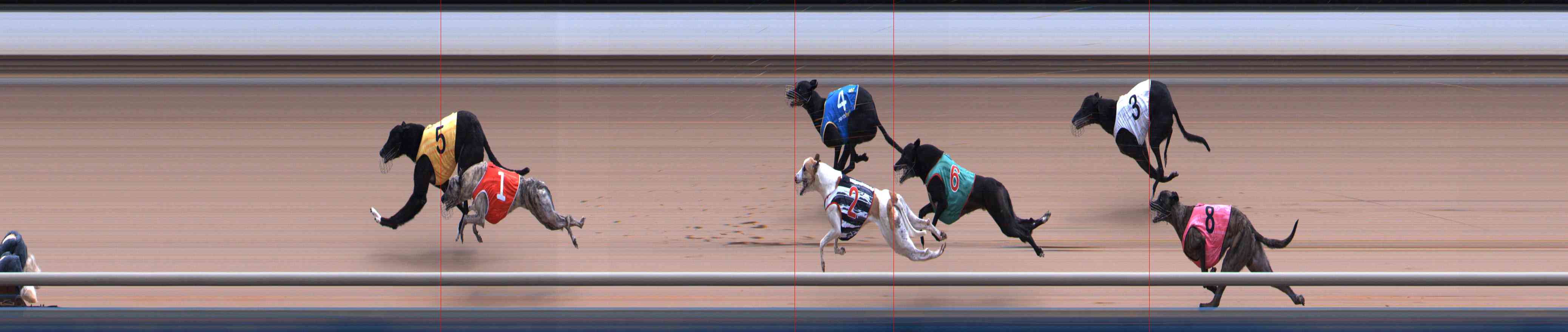Photo finish for Healesville Race 12