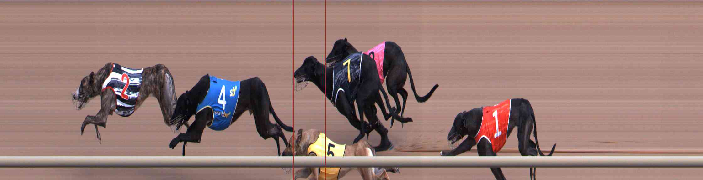 Photo finish for Healesville Race 1
