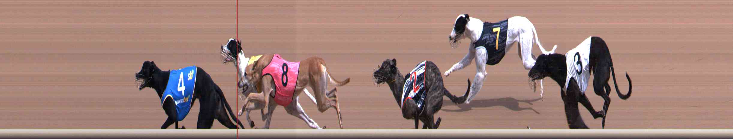 Photo finish for Healesville Race 3
