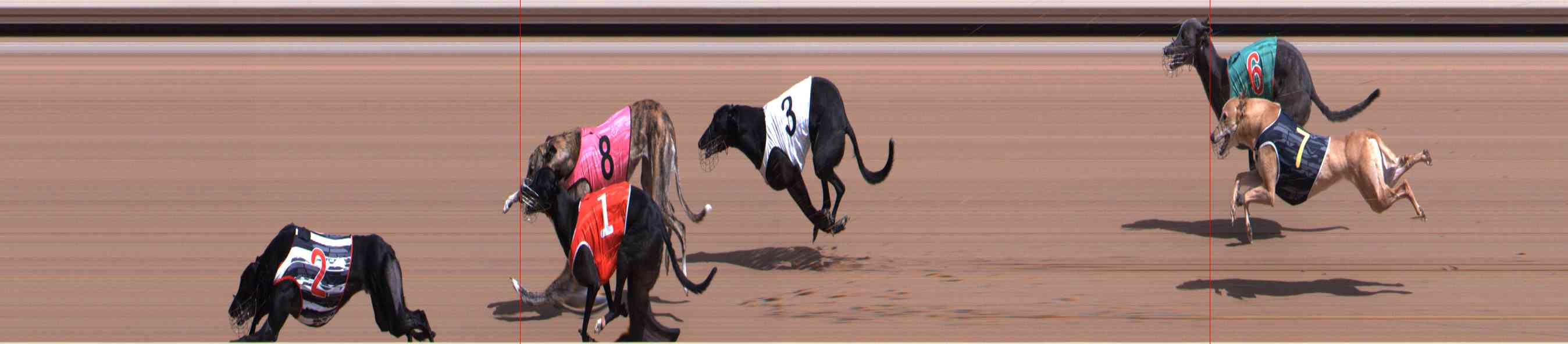 Photo finish for Healesville Race 4